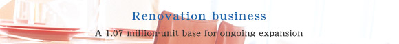 Renovation business