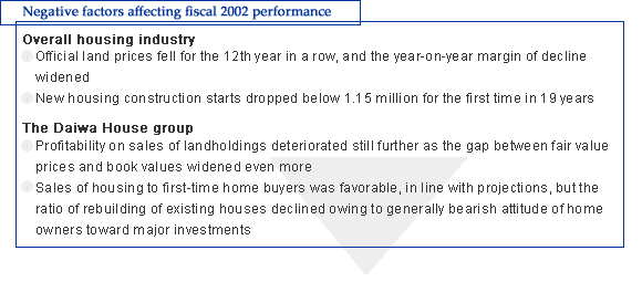 Negative factors affecting fiscal 2002 performance