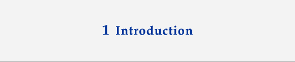 1 Introduction