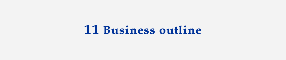 11 Business outline