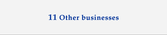 11 Other businesses
