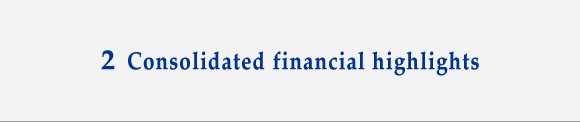 2 Consolidated financial highlights