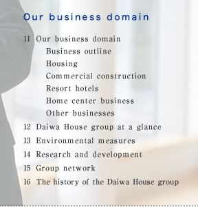 Our business domain