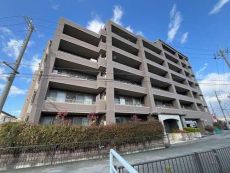 現地写真(2025年12月撮影)