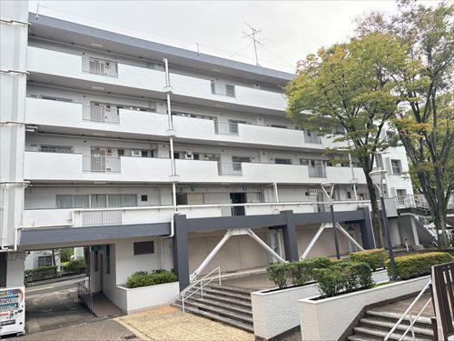 現地写真(2025.10)