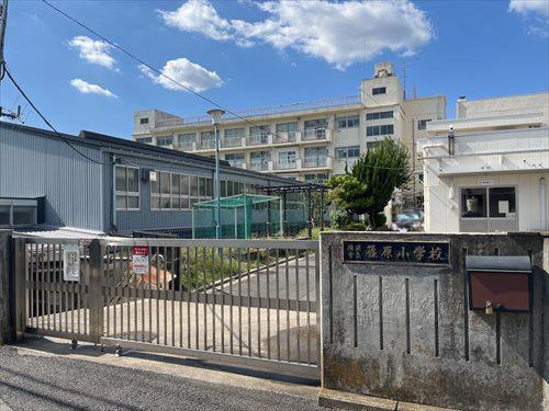 「横浜市立篠原小学校」まで徒歩12分