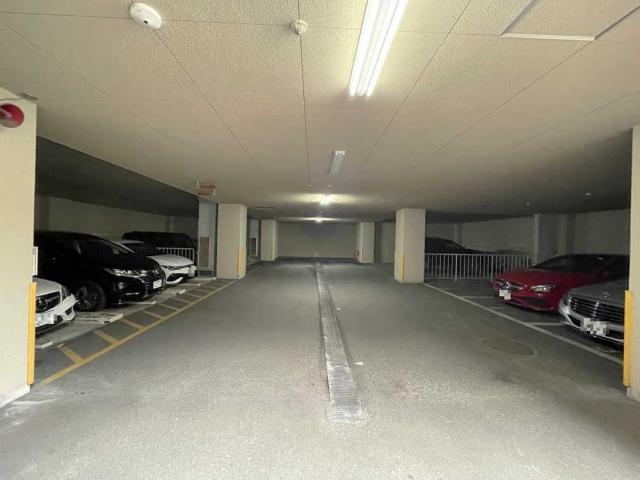 駐車場(共用設備)  写真撮影日:2025-09-28