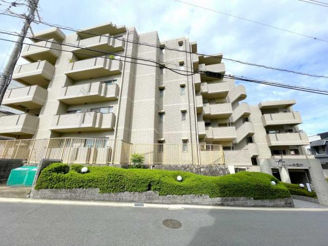 その他  写真撮影日:2025-09-28