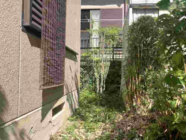 現地外観写真  写真撮影日:2025-10-20