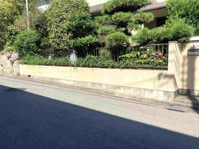 前面道路含む現地写真  写真撮影日:2025-10-20