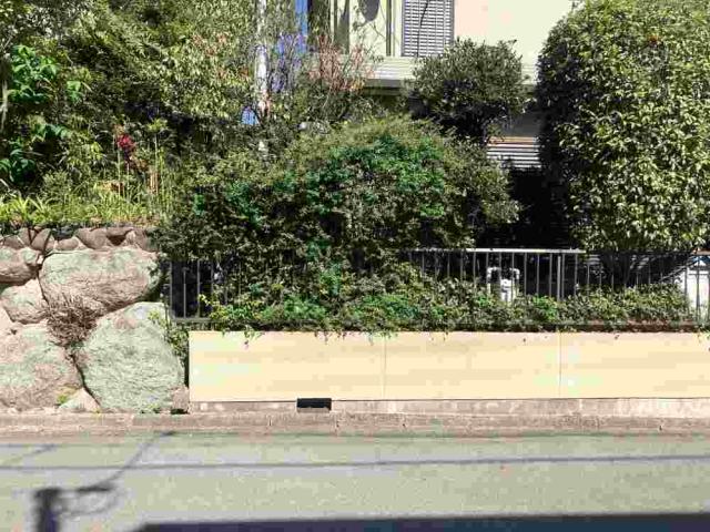 現地外観写真  写真撮影日:2025-10-20