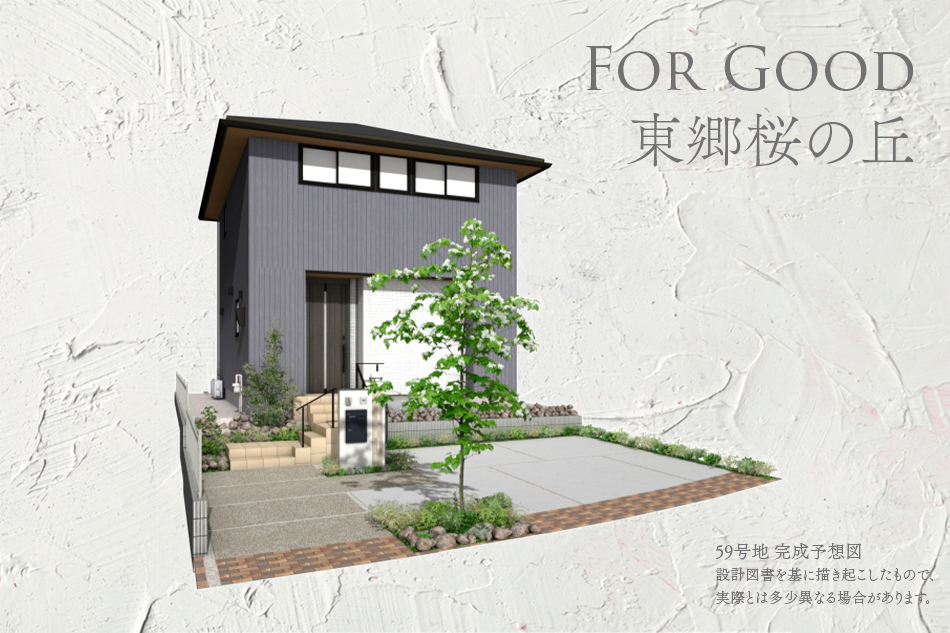 59号地