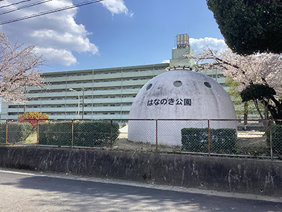 はなのき公園