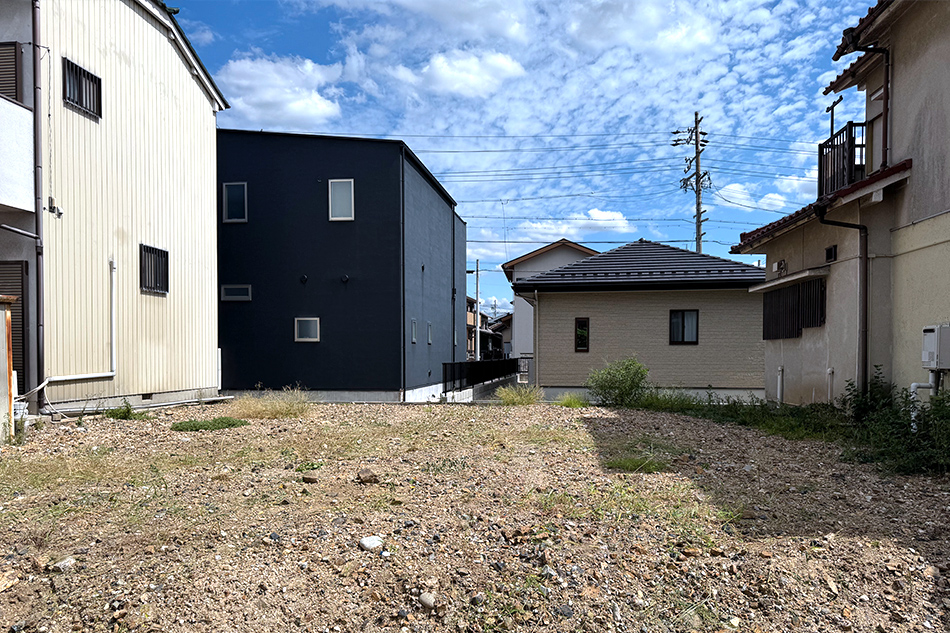 1号地