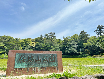 任坊山公園