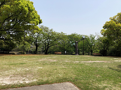 中ノ池公園