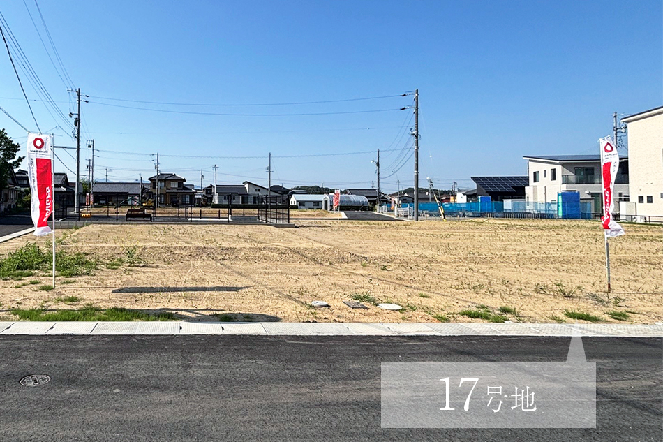 17号地