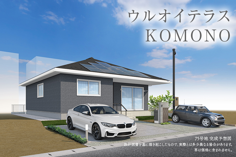 75号地