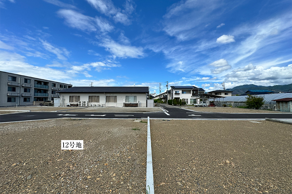 12号地