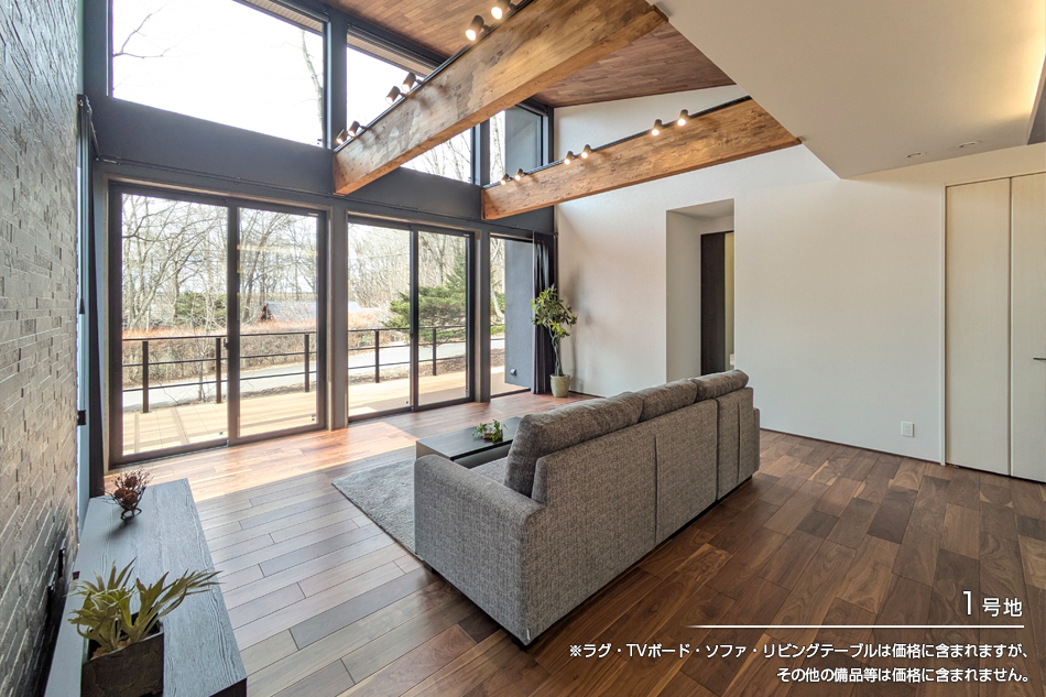 セキュレア軽井沢花の木台別荘地　(分譲住宅)