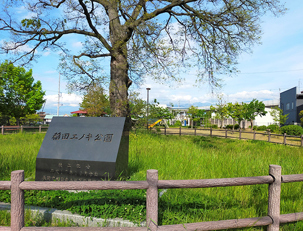 稲田エノキ公園