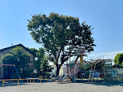 青木の杜公園