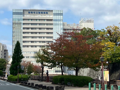 静岡市立静岡病院