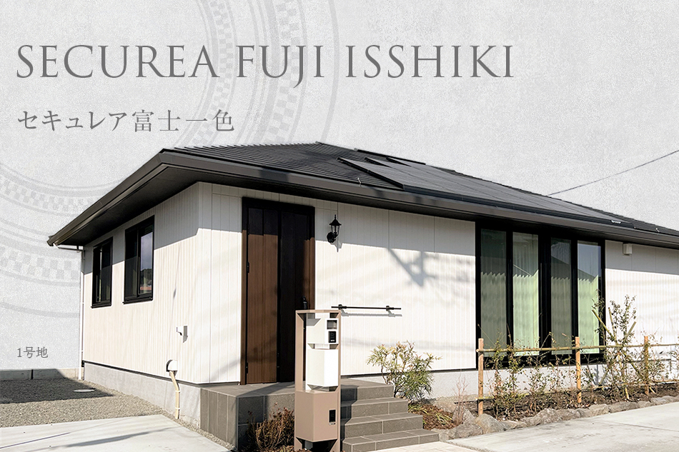 1号地