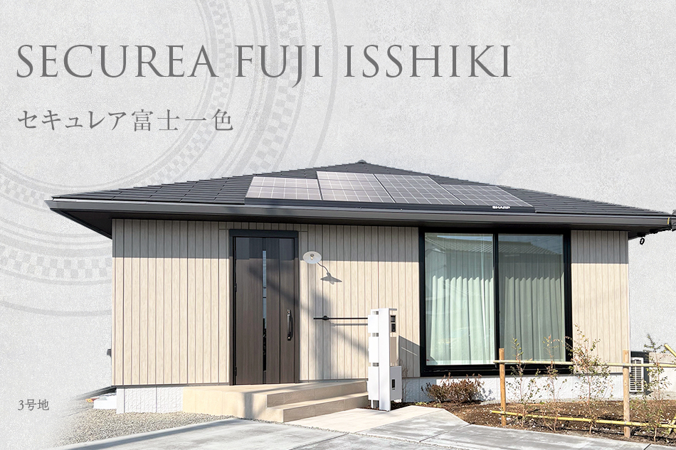 3号地