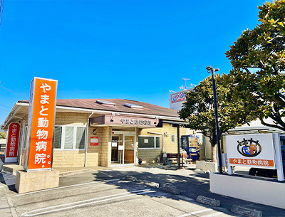 やまと動物病院