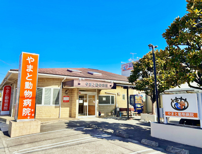 やまと動物病院