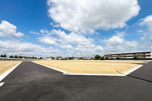 23号地