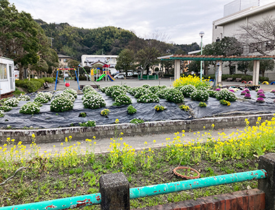 菖蒲公園