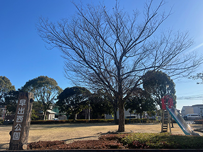 早出町西公園