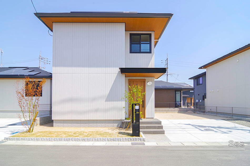 3号地