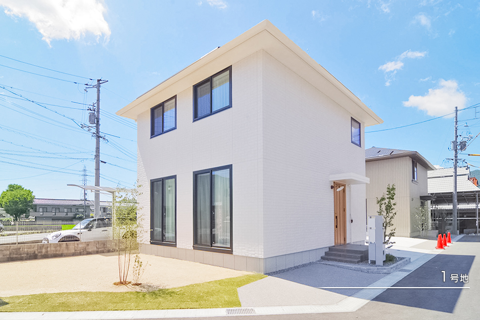1号地