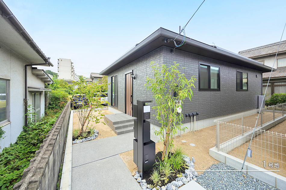 1号地
