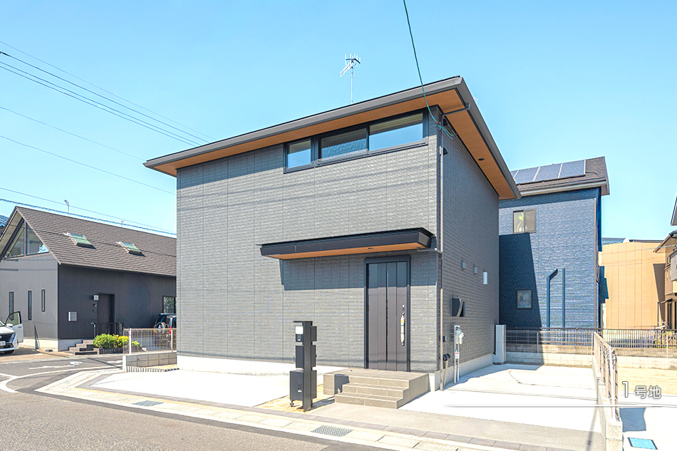 1号地