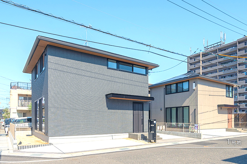 1号地