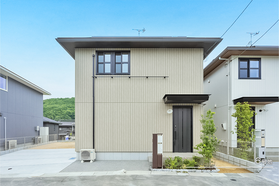 6号地