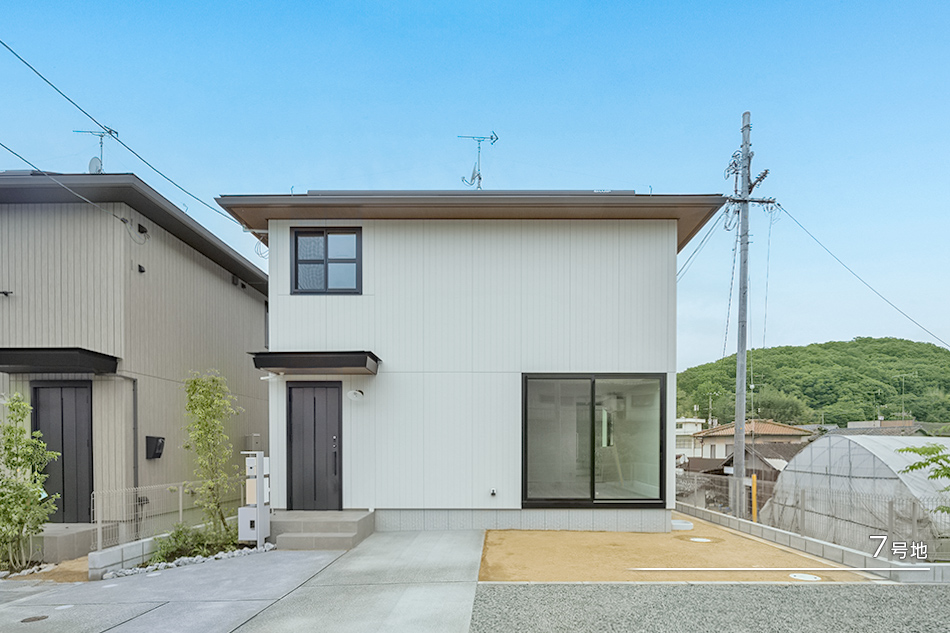 7号地