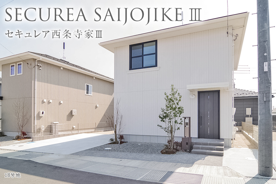 18号地