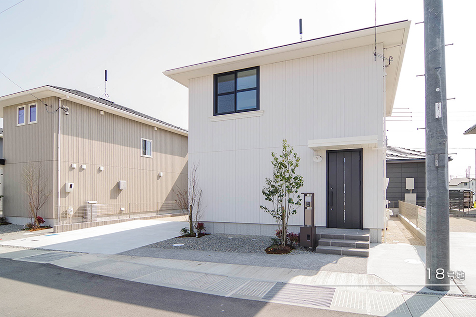 18号地