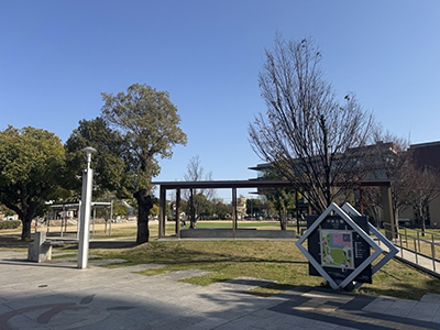 中央公園