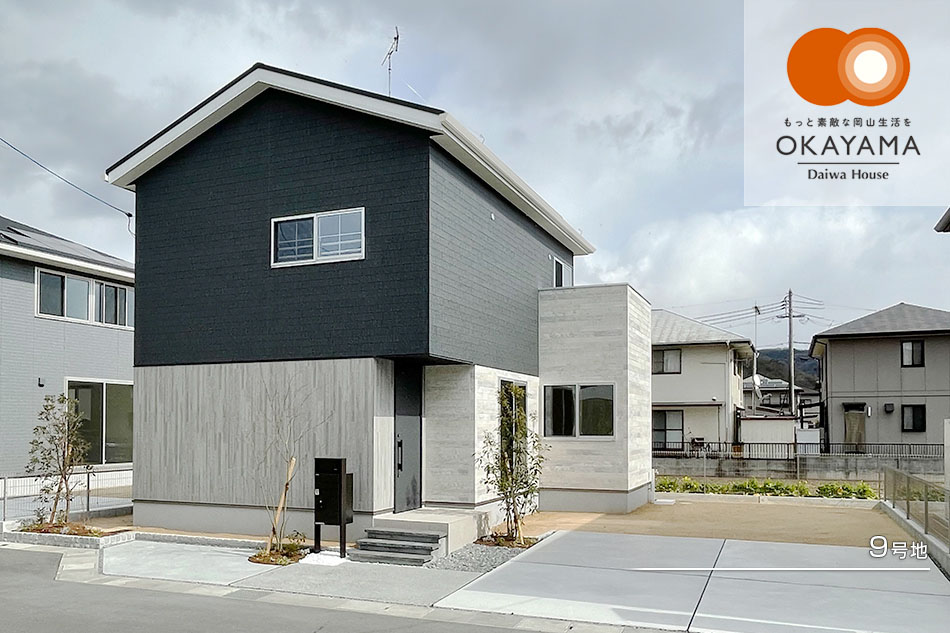 9号地
