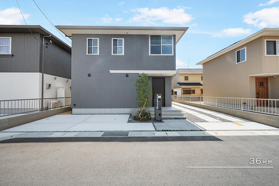 36号地