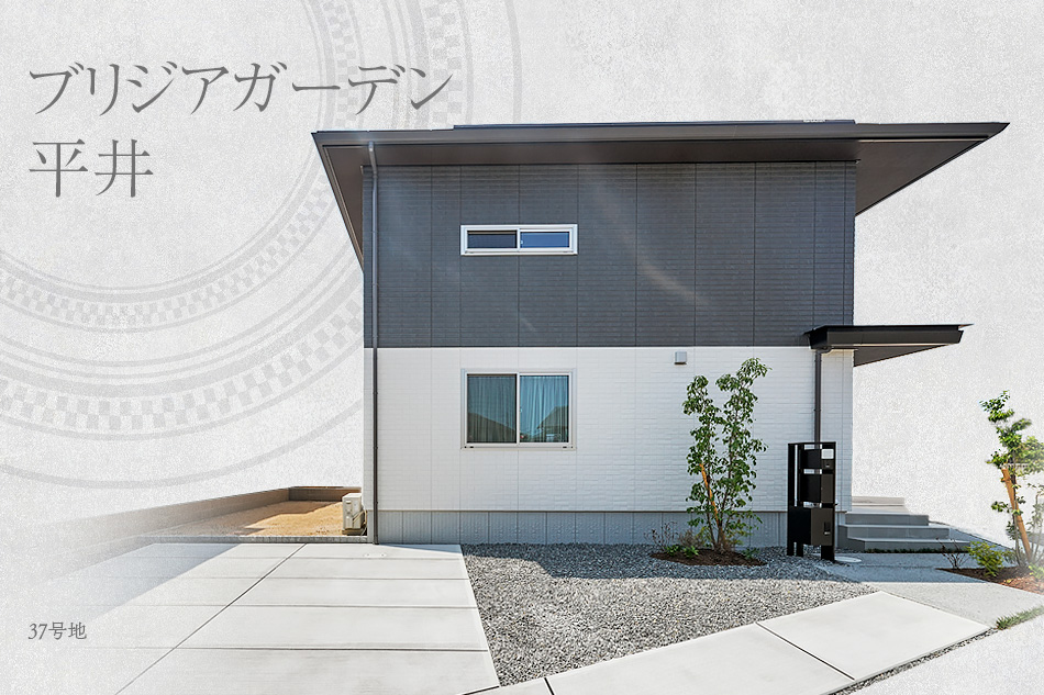 37号地