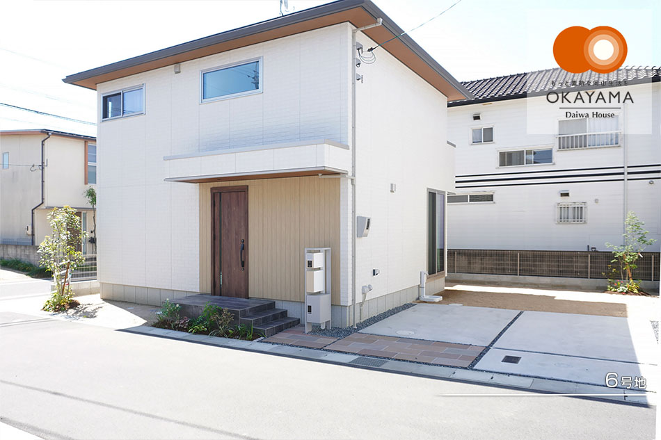 6号地