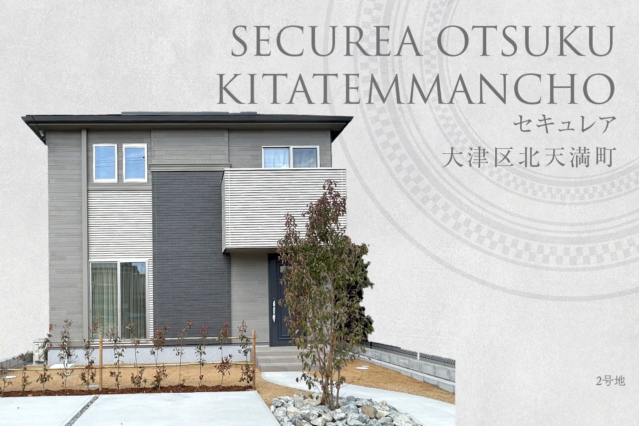 1号地