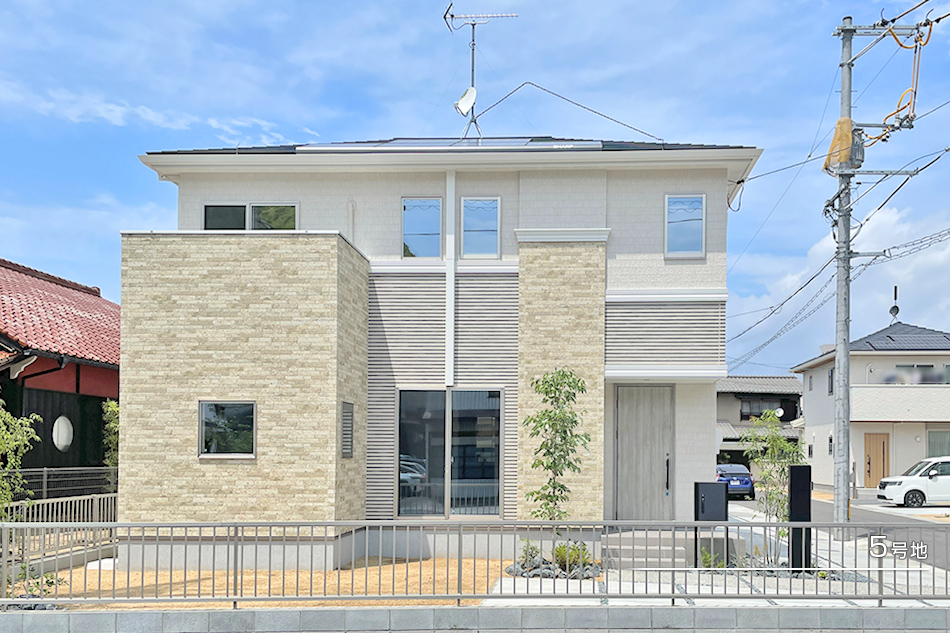 5号地